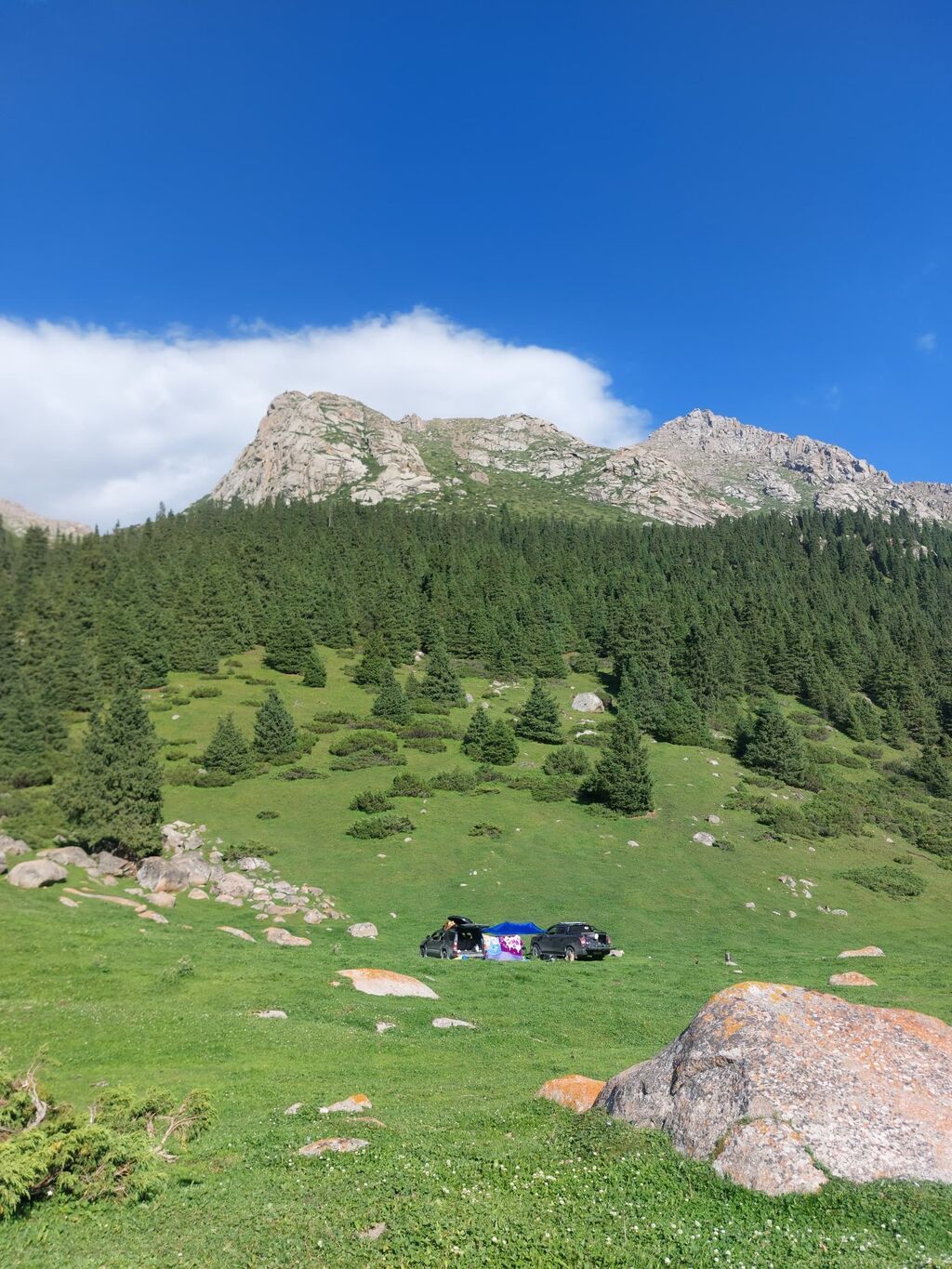 2 комнаты, 52 м²