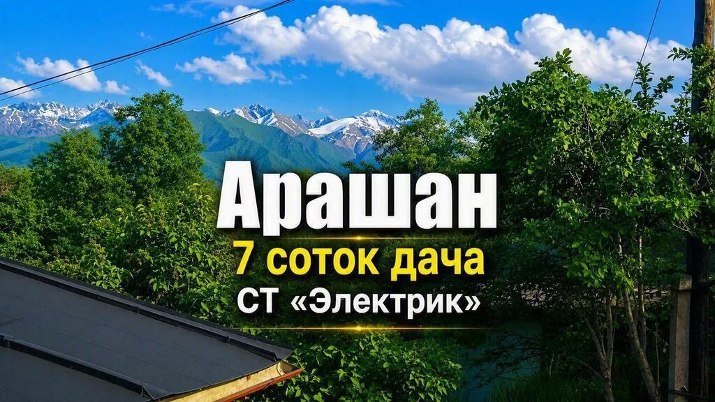 6 соток, Для бизнеса, Красная книга, Тех паспорт, Договор купли-продажи