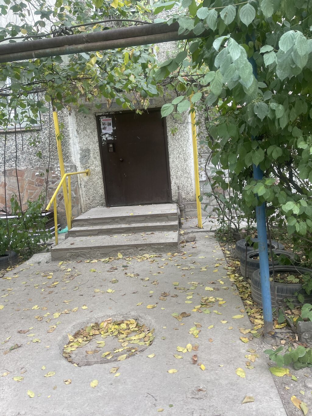 Сдаю