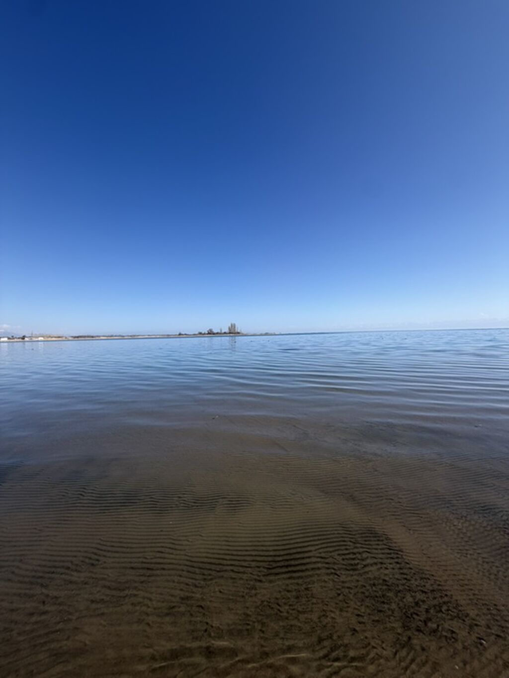 8 соток, Красная книга