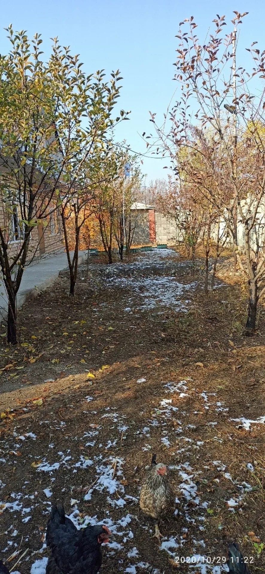 ‌Сдаю 1 к.кв в районе Ак-Орго. Во дворе находится 3кв. Вход отдельный