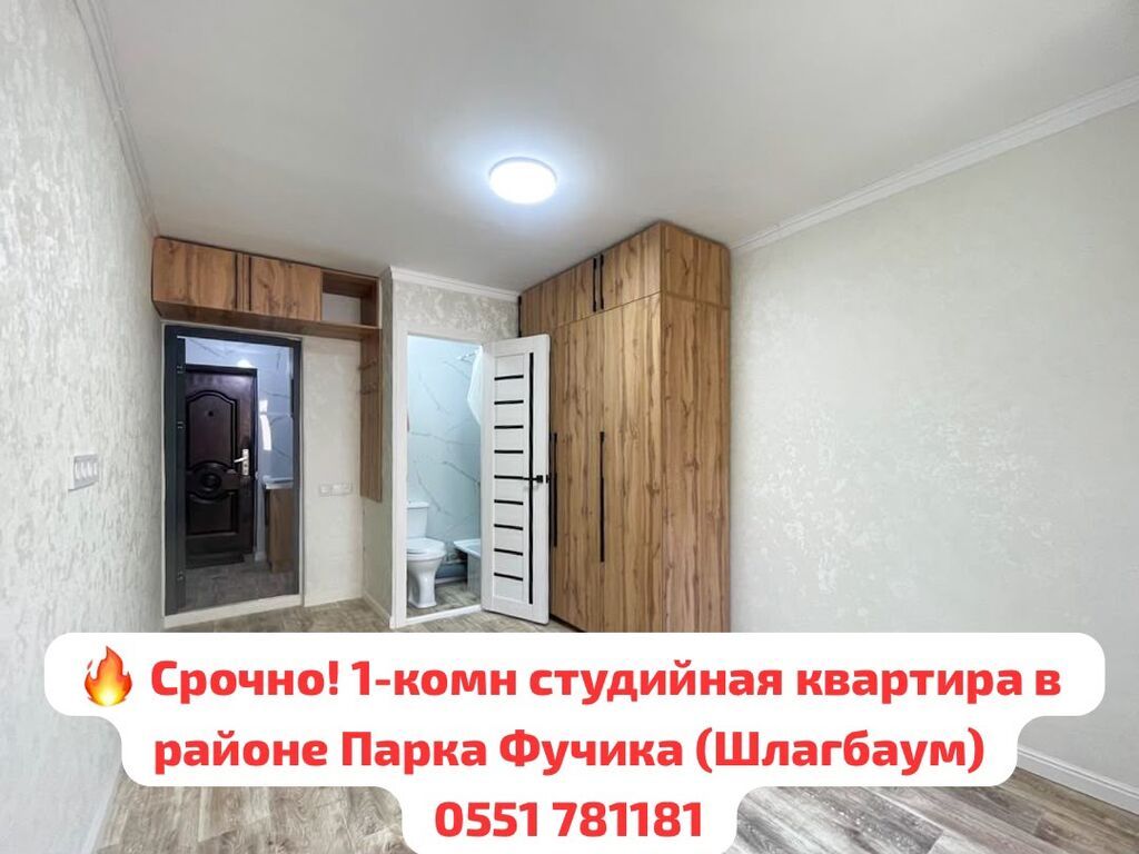 1 комната, 19 м², парк Фучика Гостиничный тип, 2 этаж, Евроремонт
