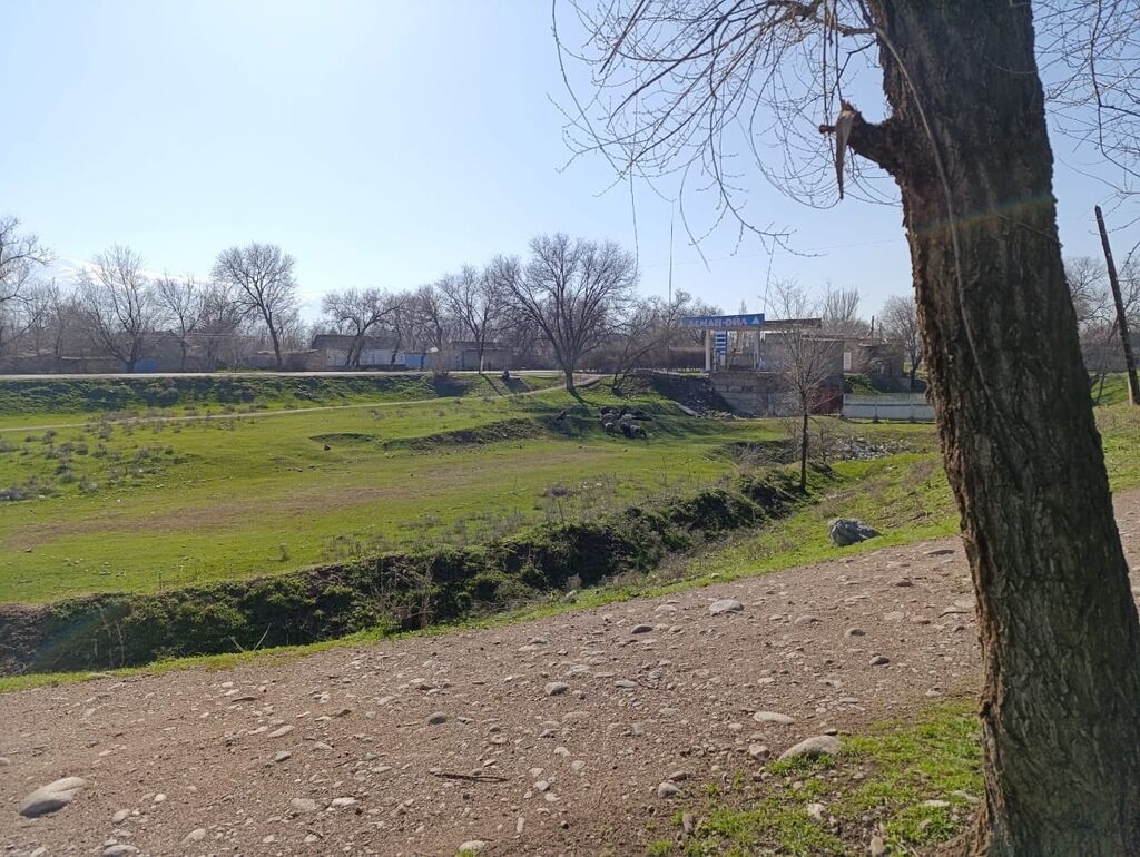 1200 соток, Красная книга, Договор купли-продажи, Генеральная доверенность