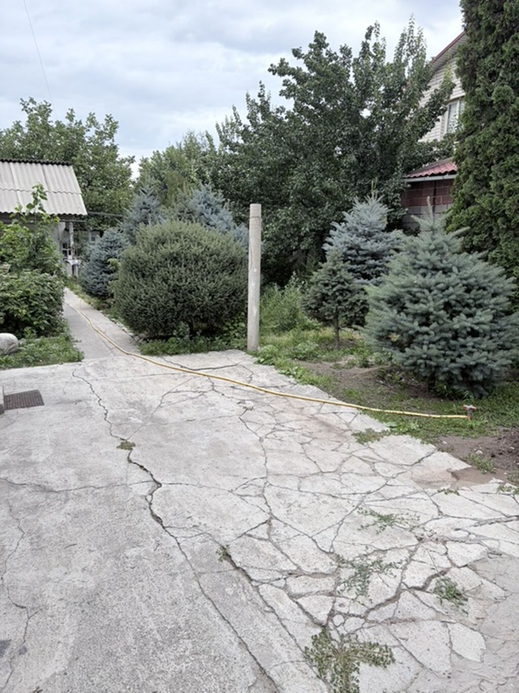 5 соток